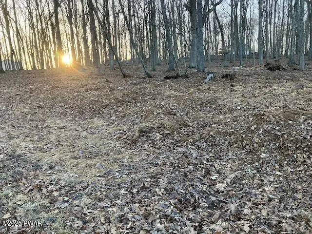 lot 314 Forest Ridge Drive, Hawley, PA 18428 - Image #2