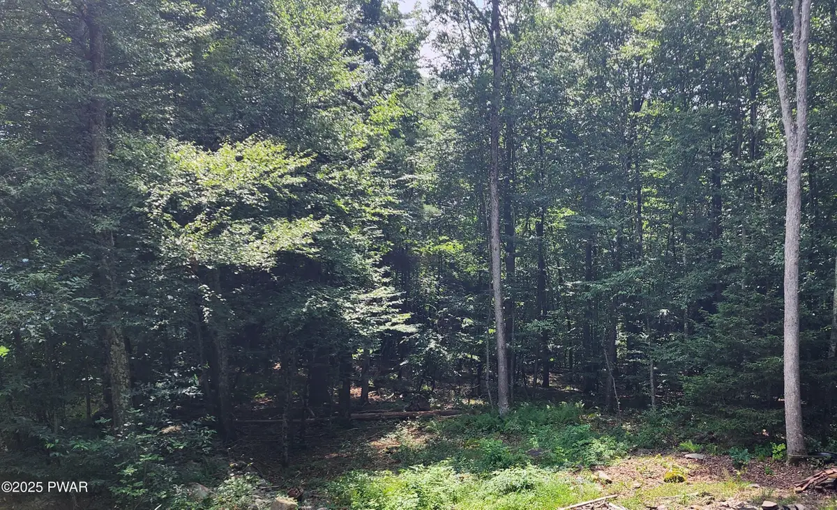 Ness Road, Dingmans Ferry, PA 18328 - Image #1