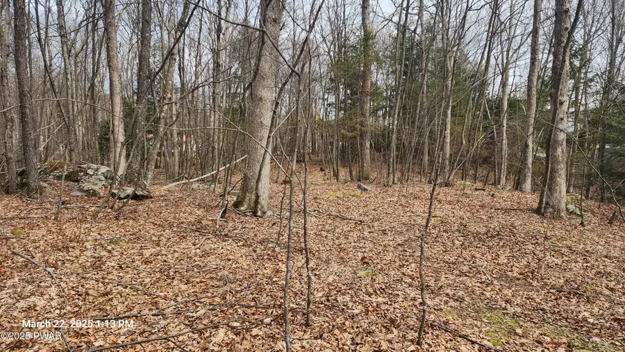 Ness Road, Dingmans Ferry, PA 18328 - Image #2