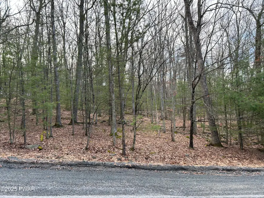 Lot 35 Ponderosa Pine, Hawley, PA 18428 - Image #3