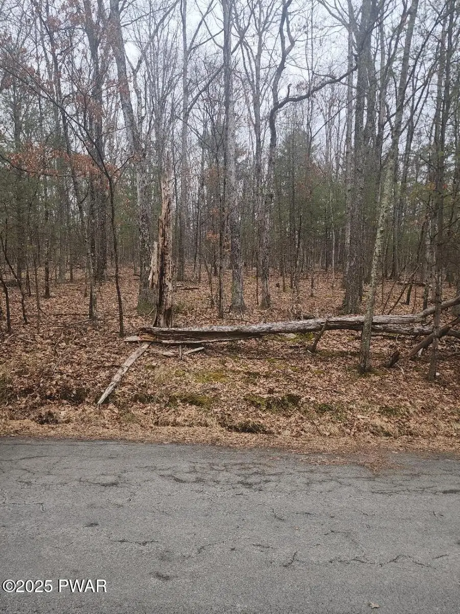 Lot 341 Timber Ridge Drive, Hawley, PA 18428 - Image #2
