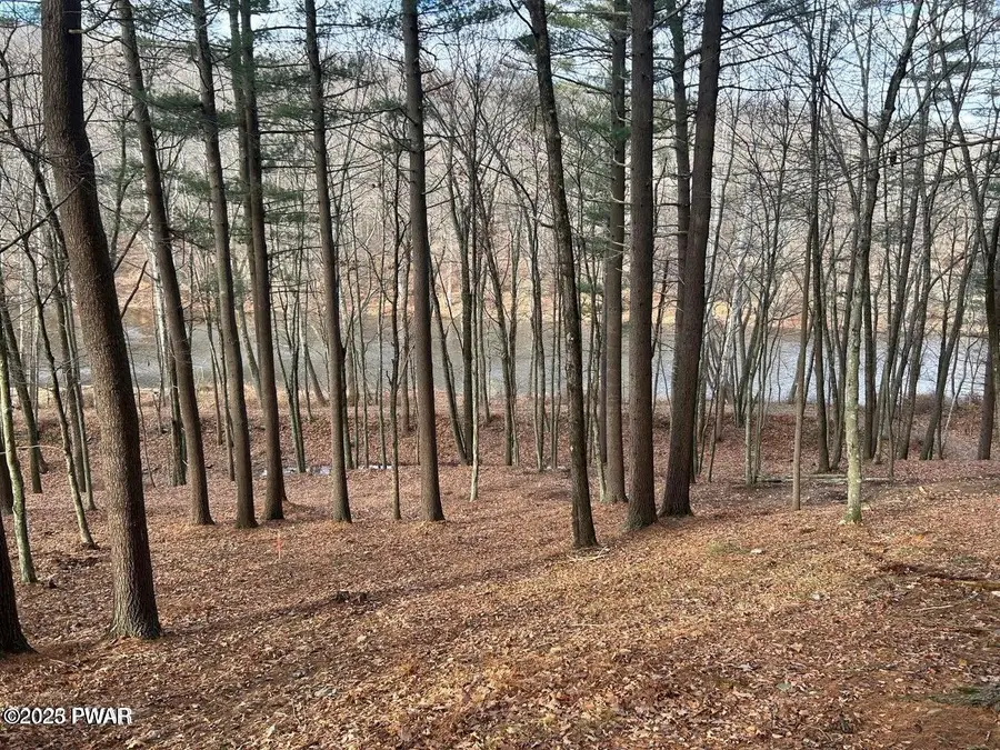 Lot 22 Circle Drive, Hawley, PA 18428 - Image #3