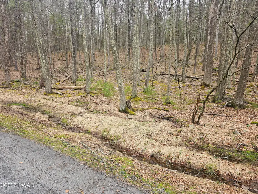 46 Hawks Nest Drive, Hawley, PA 18428 - Image #2