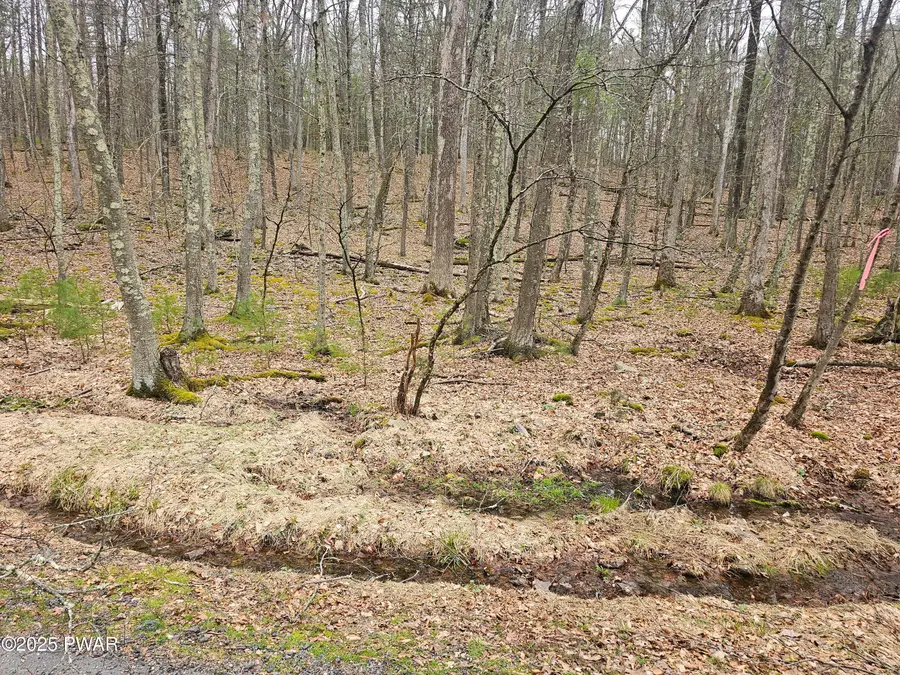 46 Hawks Nest Drive, Hawley, PA 18428 - Image #3