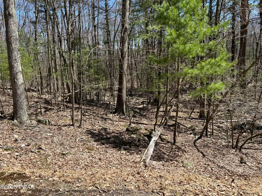 Lot 81, 82 Heavenly Valley Drive, Tafton, PA 18464 - Image #2