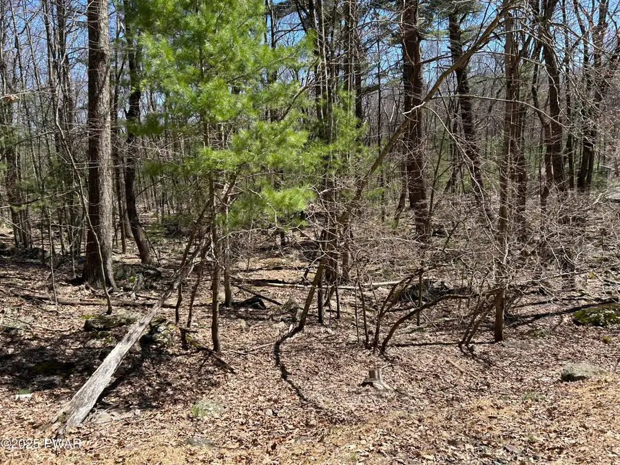 Lot 81, 82 Heavenly Valley Drive, Tafton, PA 18464 - Image #3