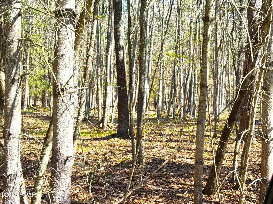 432 Eastwood Circle, Hawley, PA 18428 - Image #2