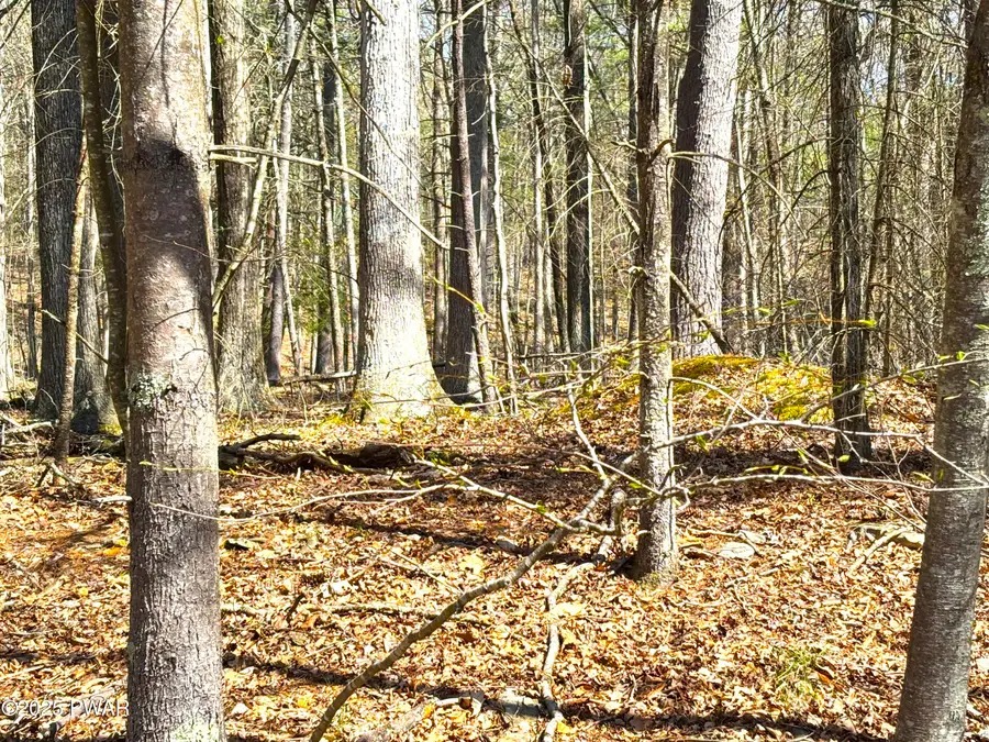 432 Eastwood Circle, Hawley, PA 18428 - Image #3