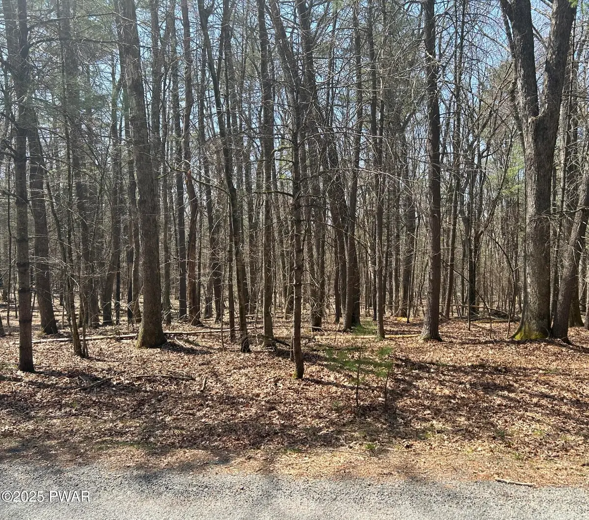 141 Hawks Nest Dr Drive, Hawley, PA 18428 - Image #1