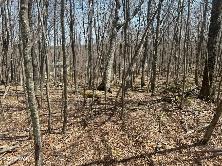 130 Laurel Circle, Hawley, PA 18428 - Image #3