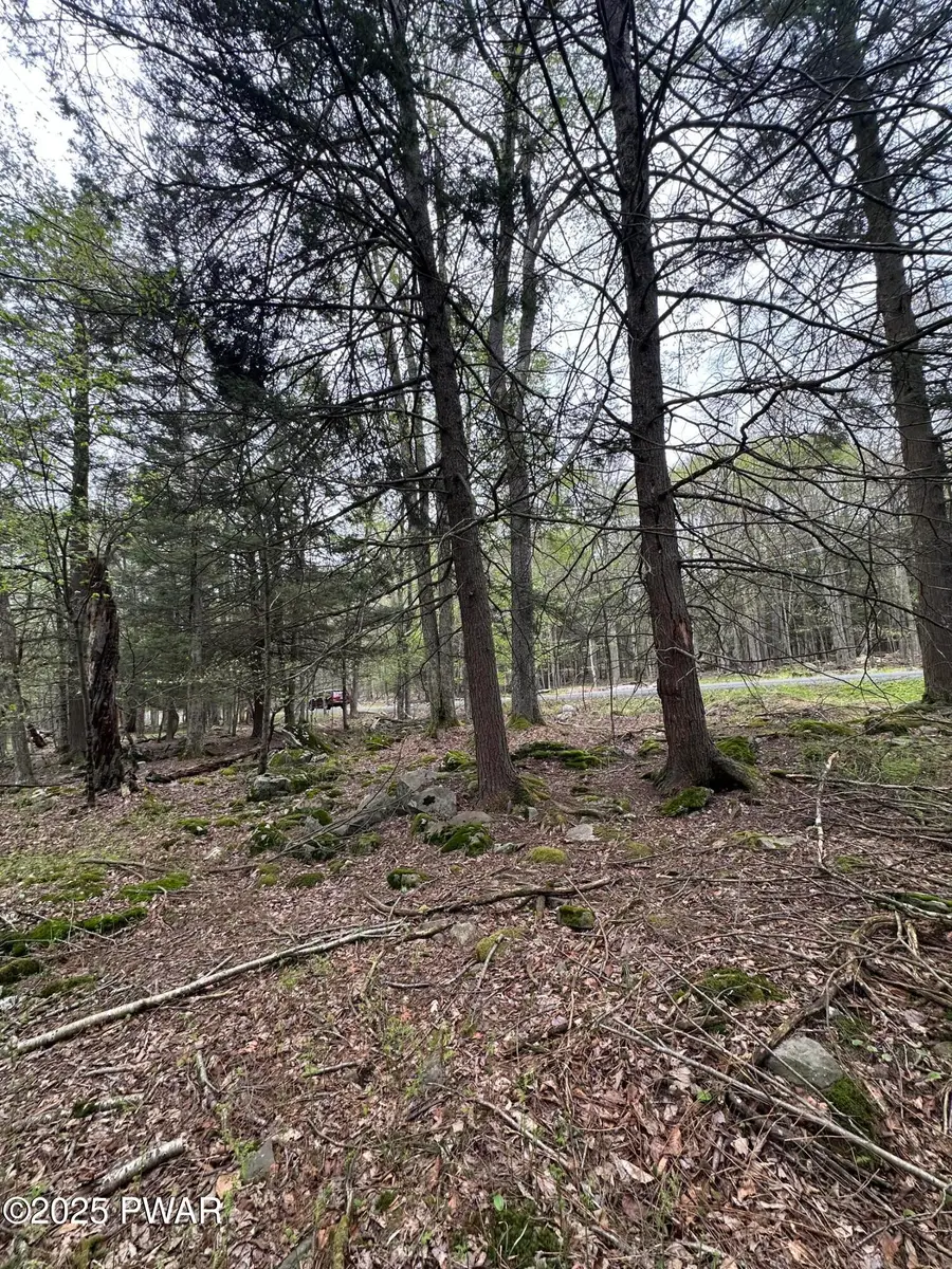 32 Old Silver Mine Trail, Gouldsboro, PA 18424 - Image #2