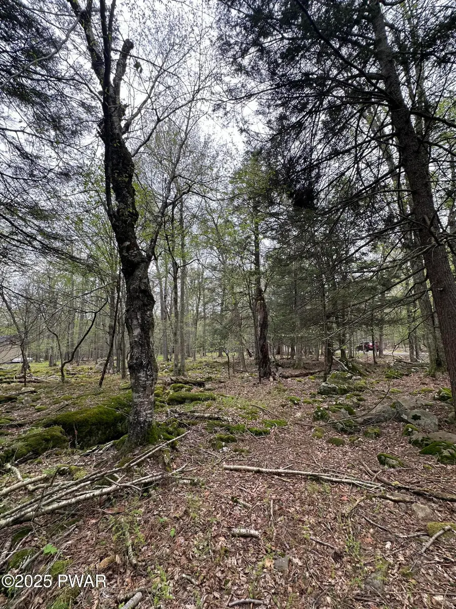 32 Old Silver Mine Trail, Gouldsboro, PA 18424 - Image #3