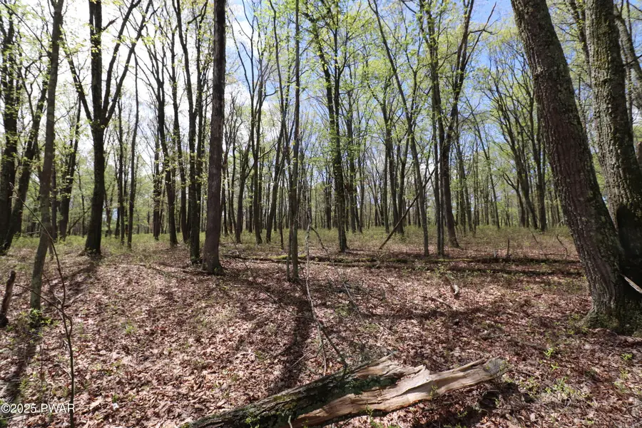 177 Lake View Circle, Hawley, PA 18428 - Image #2