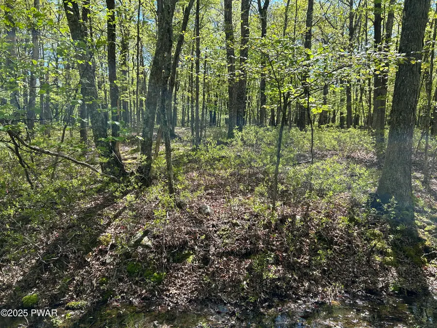 Lot 21 Woodledge Hills Drive, Hawley, PA 18428 - Image #3