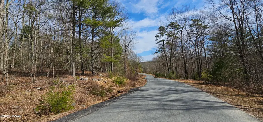 Lot 20.22 Woods Road, Barryville, NY 12719 - Image #2