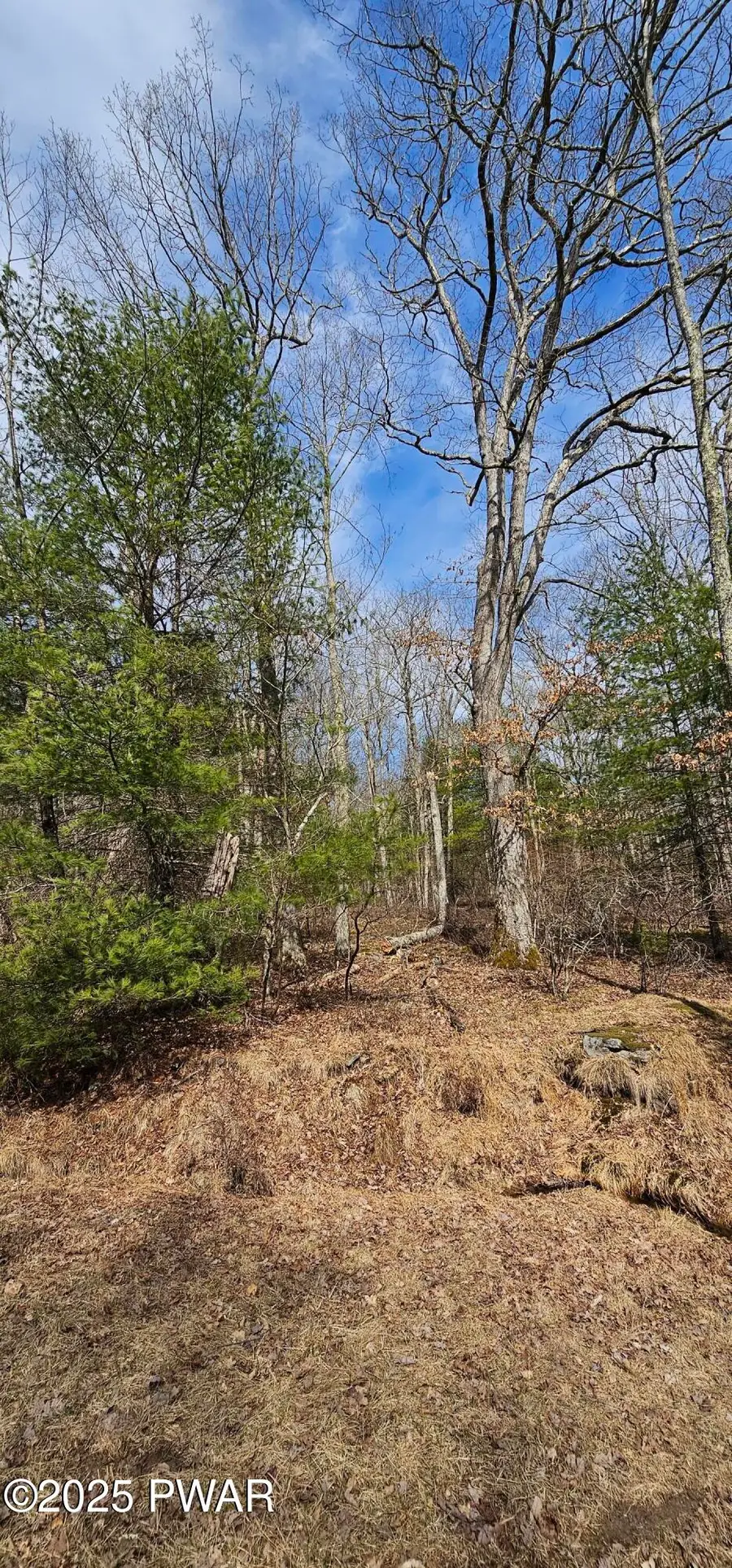 Lot 20.22 Woods Road, Barryville, NY 12719 - Image #3