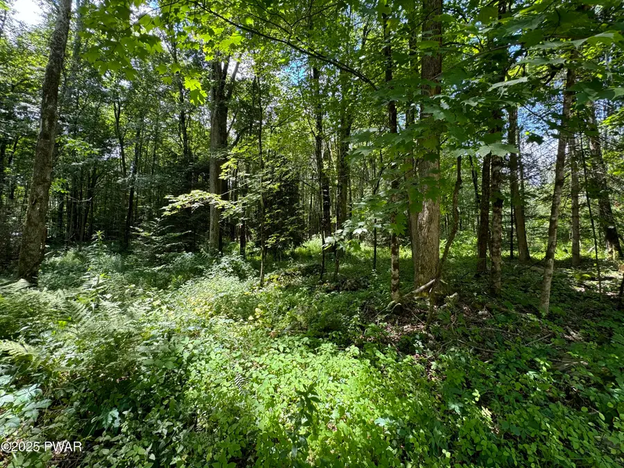 Creamton Drive, Lakewood, PA 18439 - Image #2