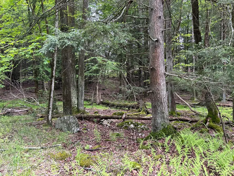 Lot 16 Orion Way, Lake Ariel, PA 18436 - Image #3