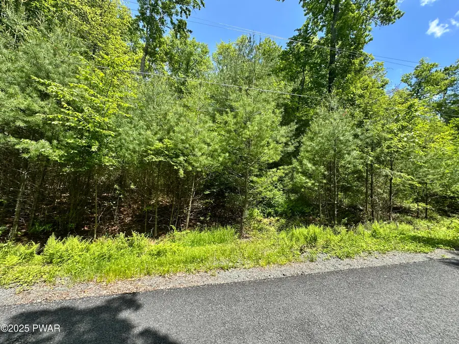 Lot 46 Sec 6 Woodland Drive, Dingmans Ferry, PA 18328 - Image #2