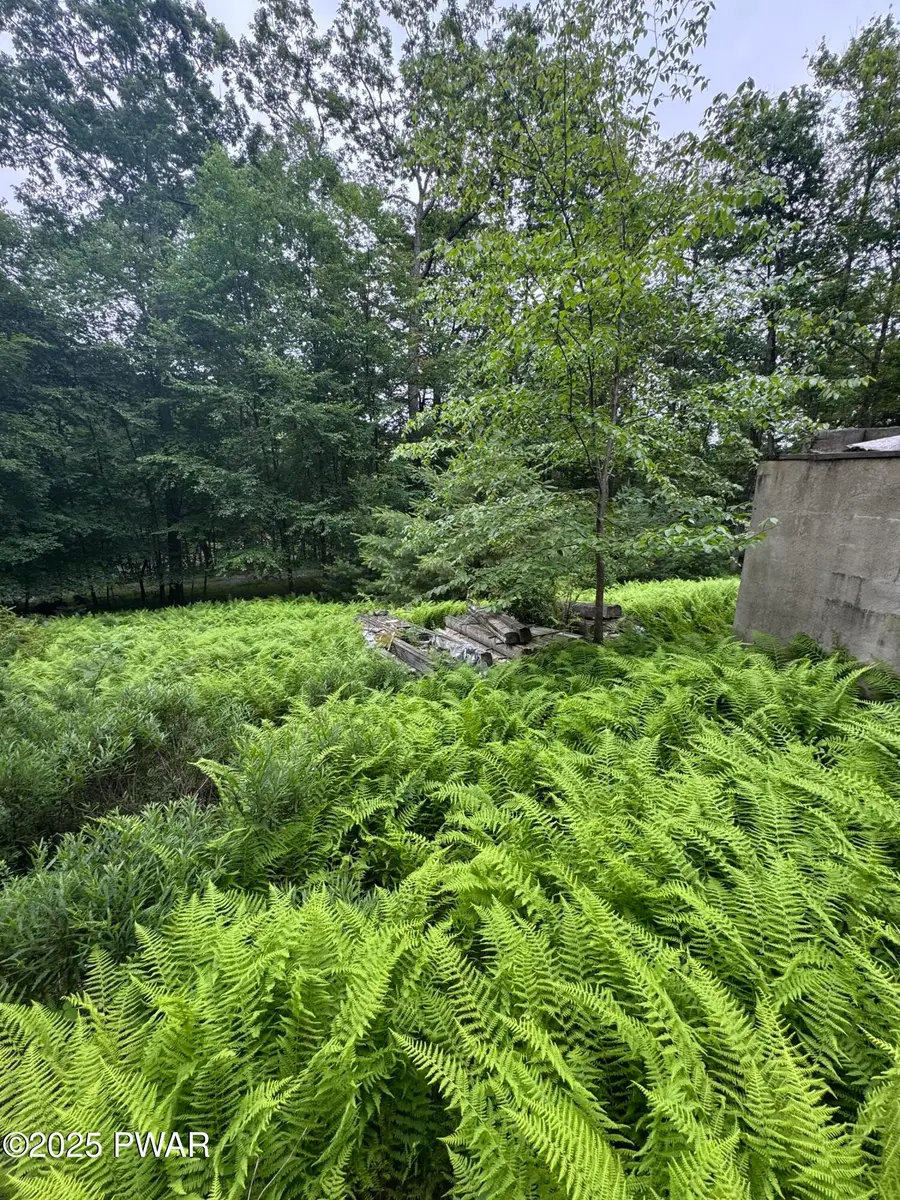 Lot 29 Lakewood Drive, Dingmans Ferry, PA 18328 - #2