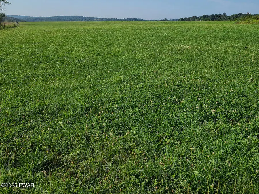 Swendsen Road, Tyler Hill, PA 18469 - Image #2