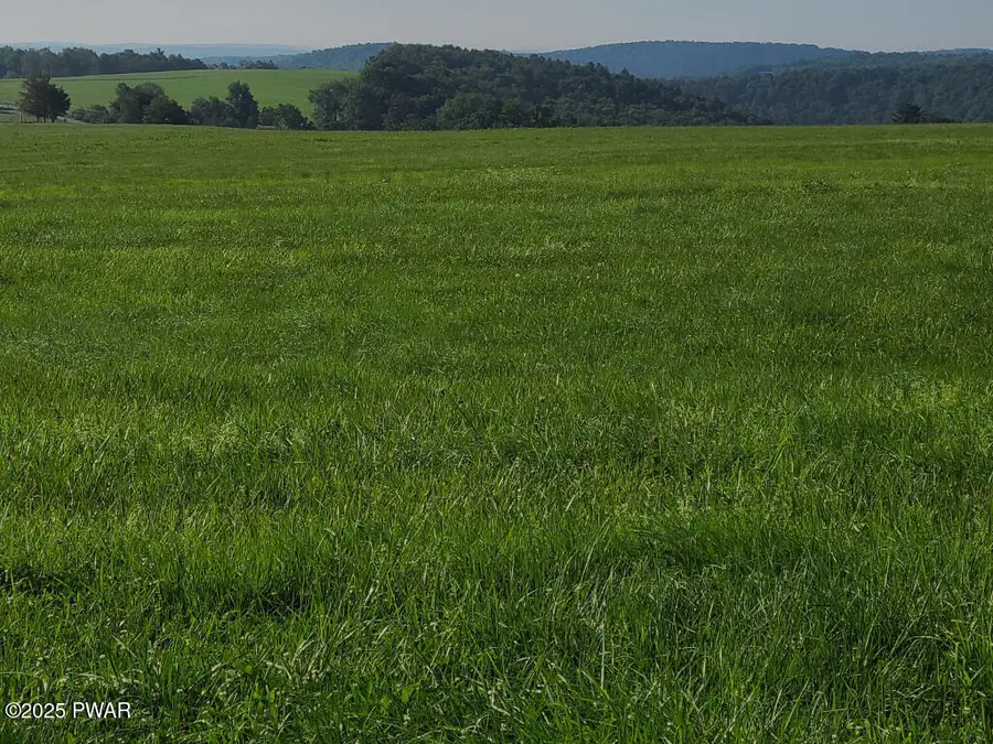 Swendsen Road, Tyler Hill, PA 18469 - Image #3