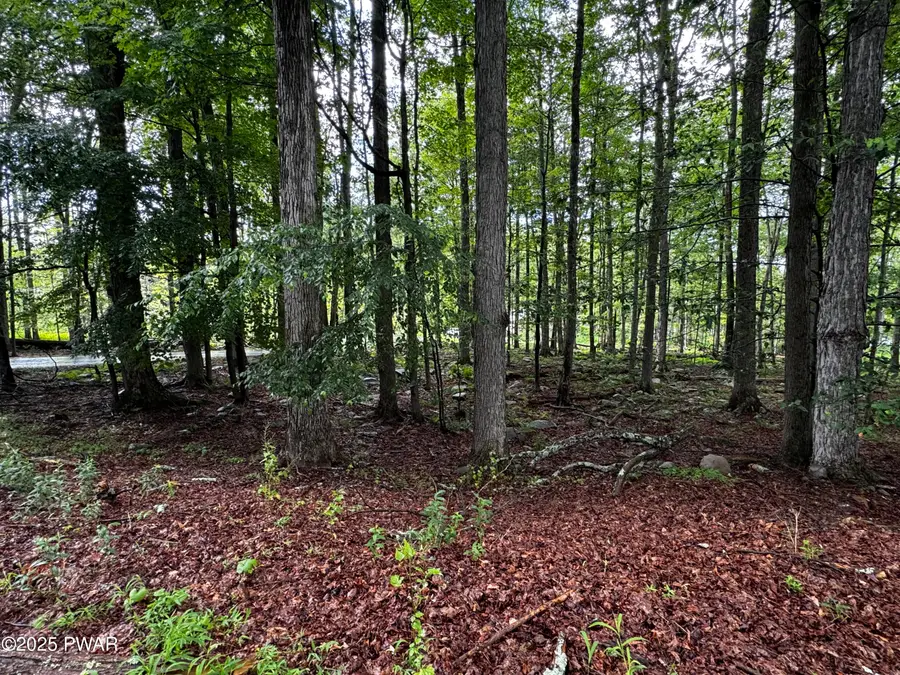 101 Elm Lane, Greentown, PA 18426 - Image #3