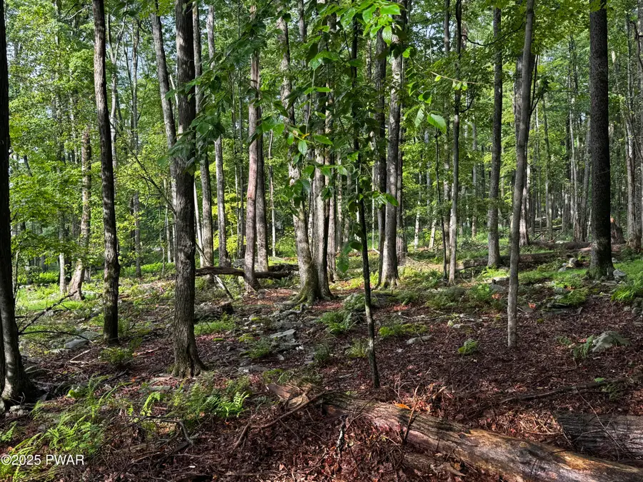 103 Elm Lane, Greentown, PA 18426 - Image #2