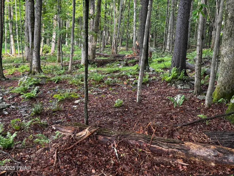 103 Elm Lane, Greentown, PA 18426 - Image #3