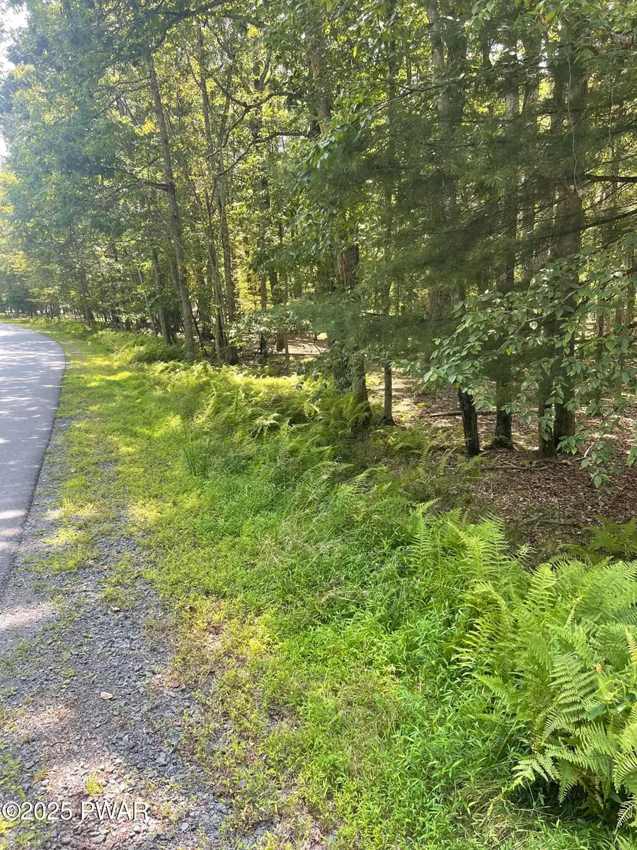 353 Oak Hill Road, Hawley, PA 18428 - Image #3