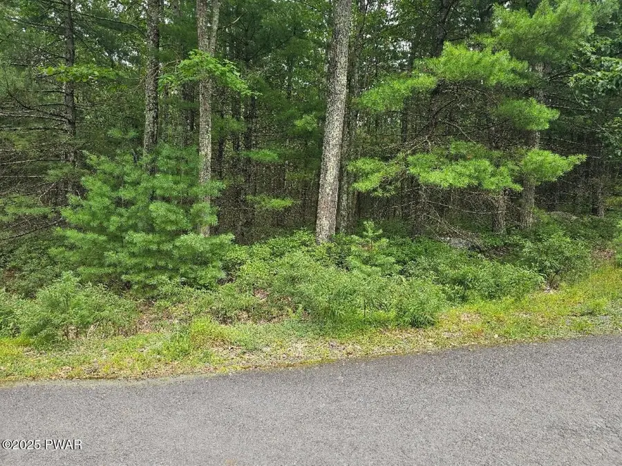 Lot 42 Ripplewood Drive, Tafton, PA 18464 - Image #2