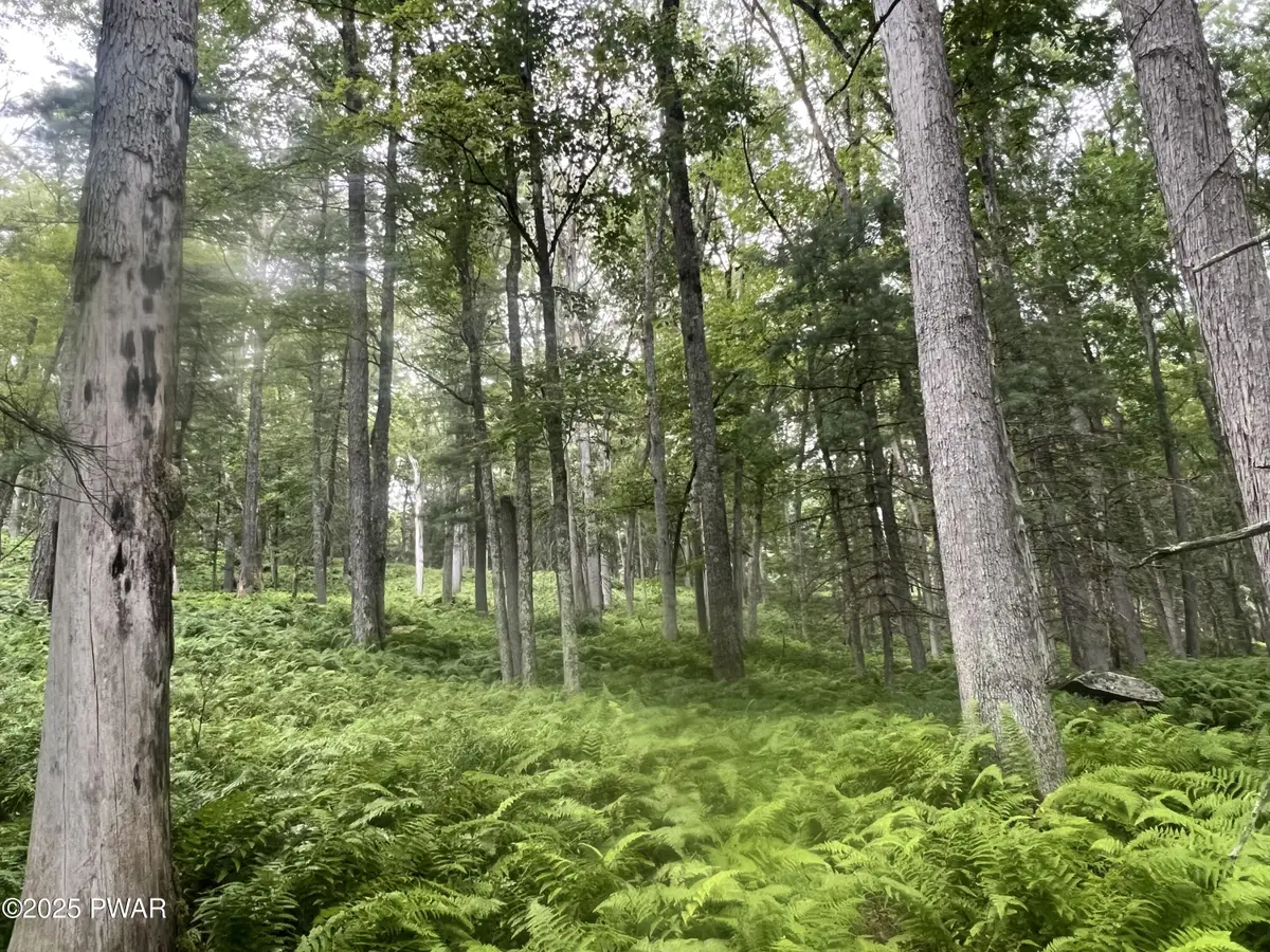 259 Lackawaxen Road, Tusten, NY 12764 - Image #1