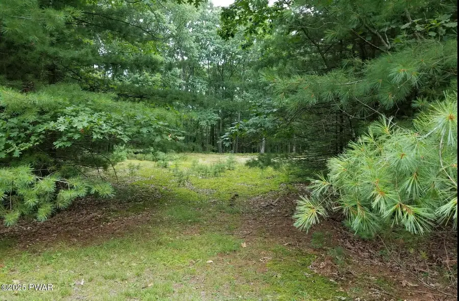 2.84 Acres Butchs Road, Hawley, PA 18428 - Image #3
