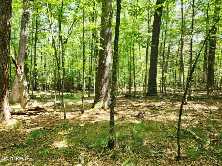 Lot 46 - Creek Lane, Dingmans Ferry, PA 18328 - Image #3