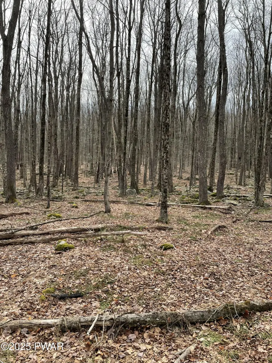 Lot 270 Radcliff Lane, Newfoundland, PA 18445 - Image #2