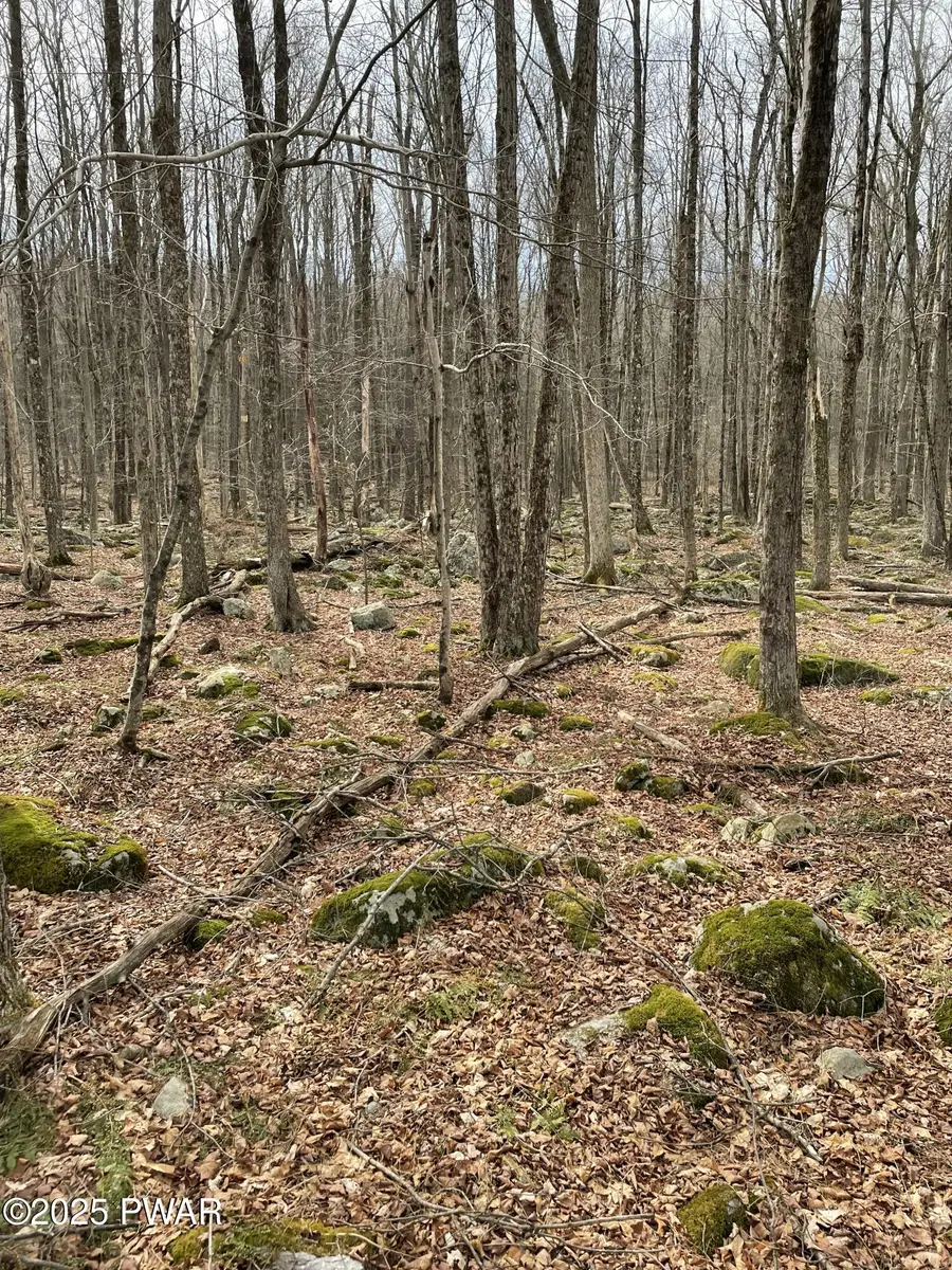 Lot 270 Radcliff Lane, Newfoundland, PA 18445 - Image #3