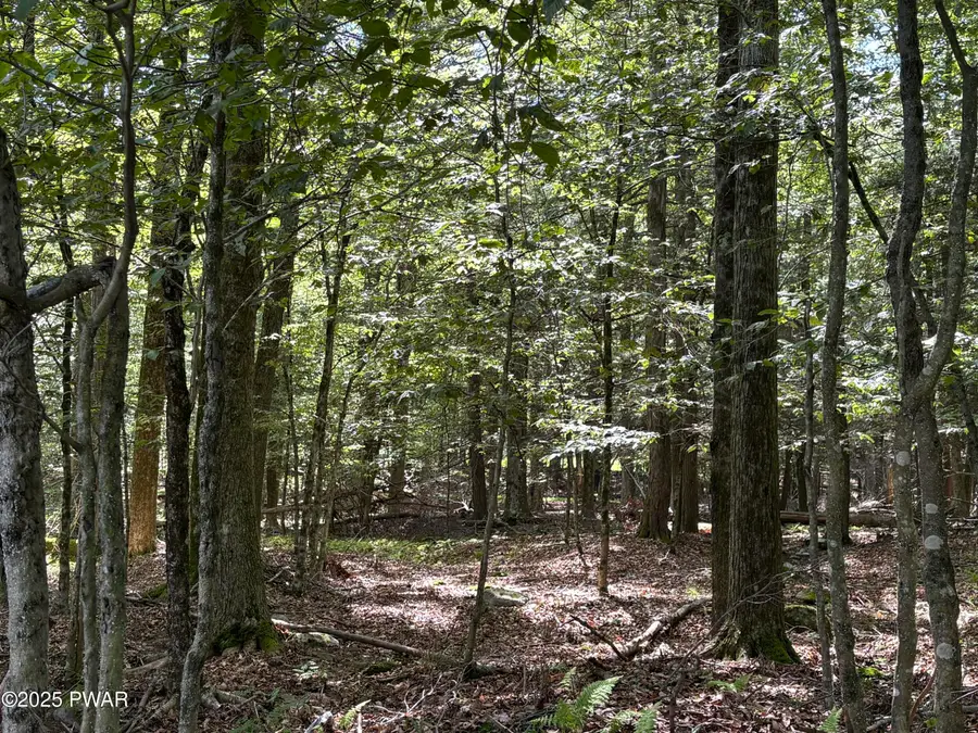 Wallenpaupack Drive, Greentown, PA 18426 - Image #3