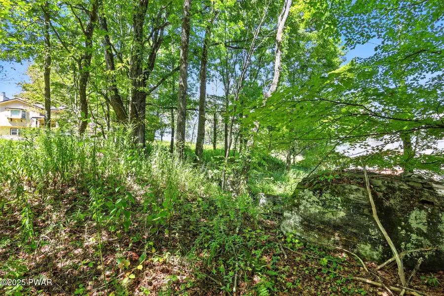 45 Forest Lane, Lake Ariel, PA 18436 - Image #3