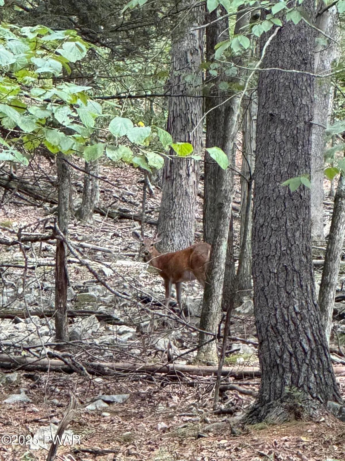 435 Autumn Court, Hawley, PA 18428 - Image #1