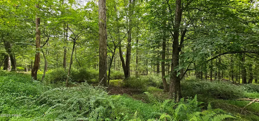 Lot 57 Blossom Road, Lackawaxen, PA 18435 - Image #2