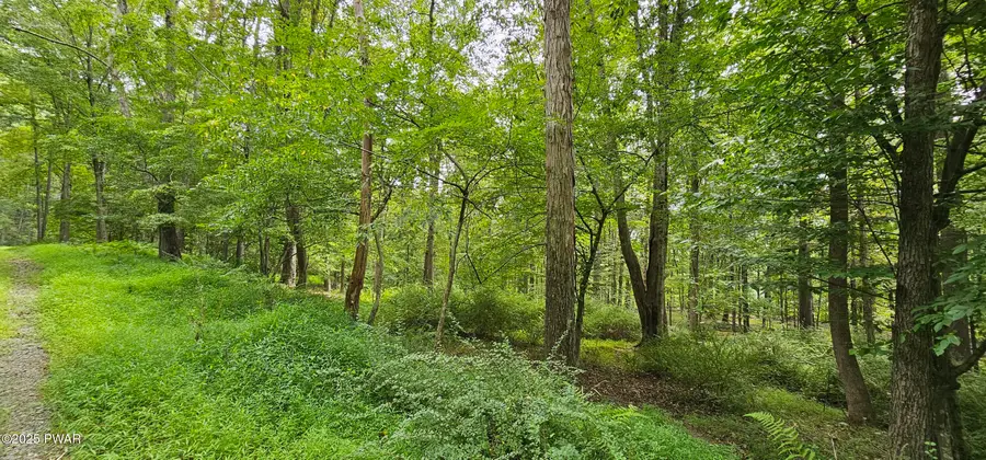 Lot 57 Blossom Road, Lackawaxen, PA 18435 - Image #3