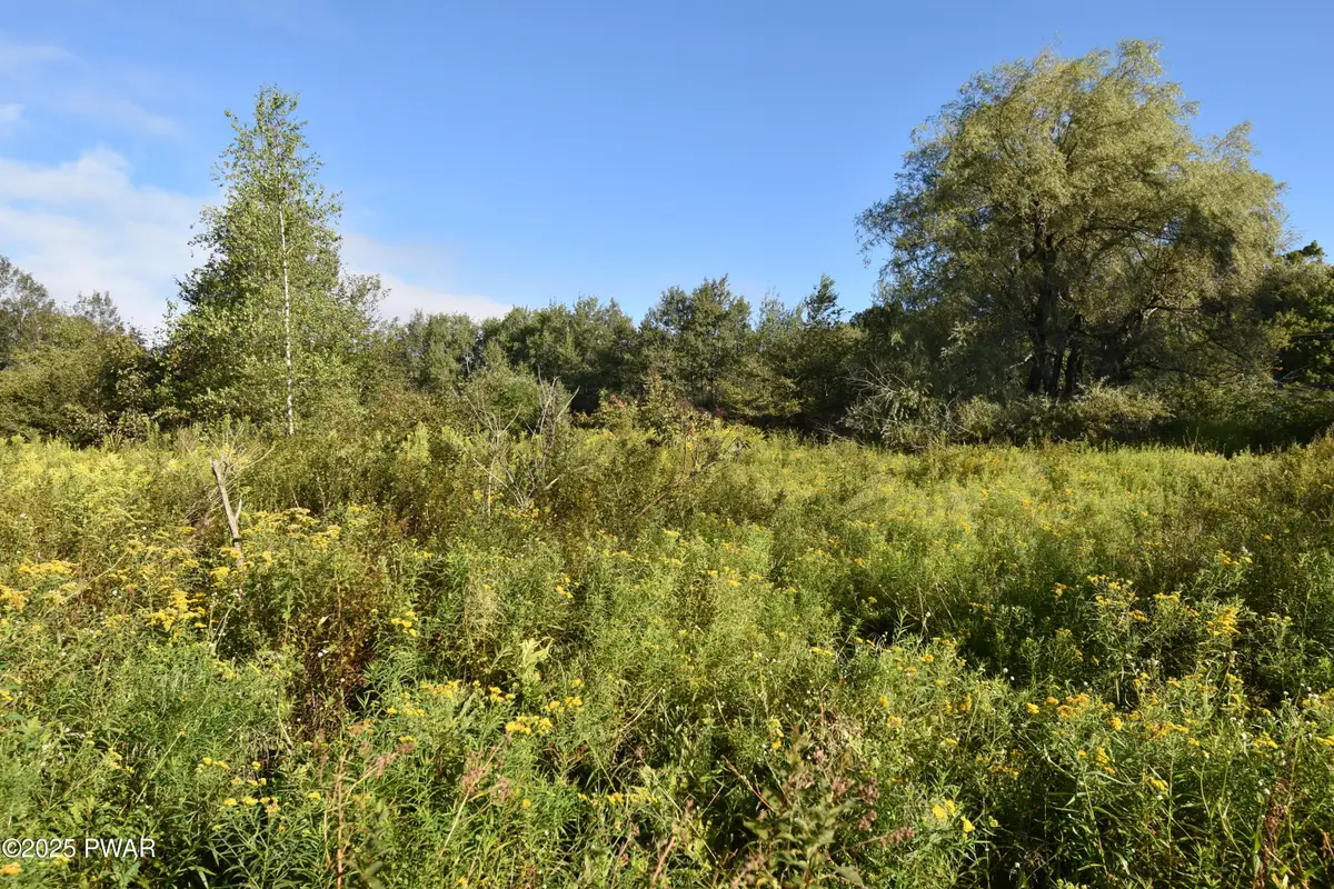 430 Flat Rock Road, Forest City, PA 18421 - Image #1