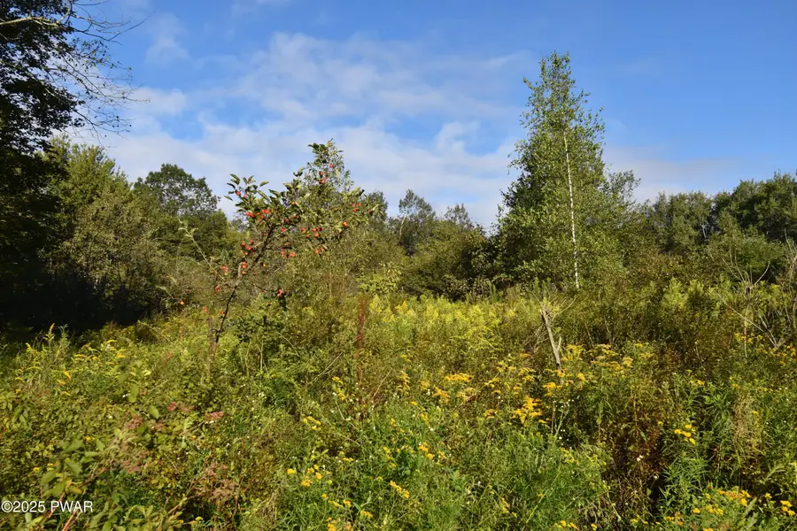 430 Flat Rock Road, Forest City, PA 18421 - Image #2