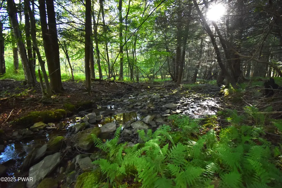 430 Flat Rock Road, Forest City, PA 18421 - Image #3