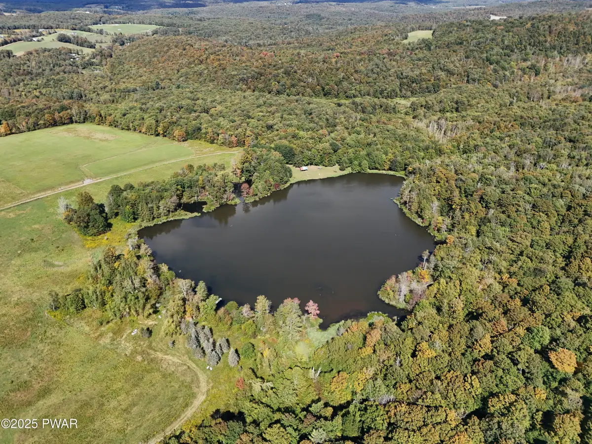 LOT 4 Skinny Dip Lane, Pleasant Mount, PA 18453 - Image #1