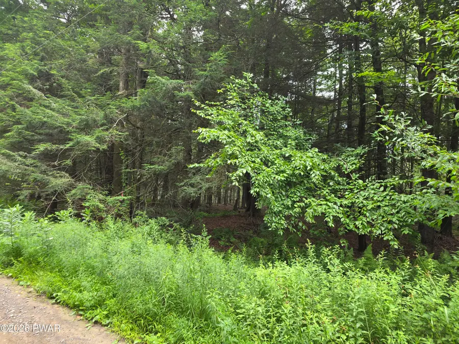 Lot113-117 Arthur Drive, Newfoundland, PA 18445 - #3