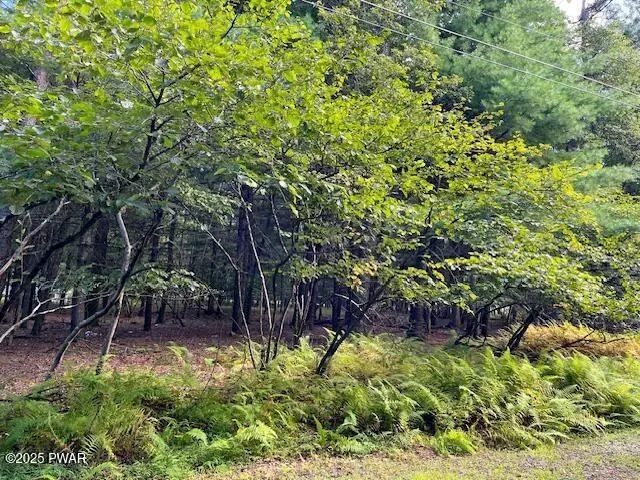 Lot 235A Hound Road, Dingmans Ferry, PA 18328 - Image #1