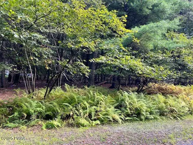 Lot 235A Hound Road, Dingmans Ferry, PA 18328 - Image #3