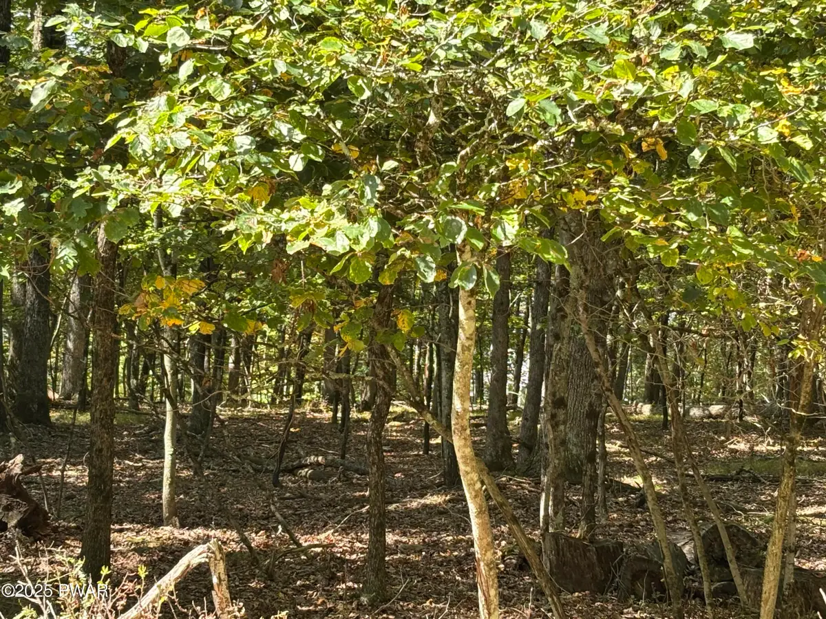 353 Westwood Lane, Hawley, PA 18428 - Image #1