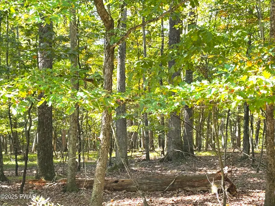 353 Westwood Lane, Hawley, PA 18428 - Image #2